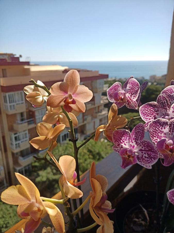 Sweet Home Benalmadena, Estudio Con Vistas Al Mar Y Excelente Conexion Wifi, Para No Fumadores, Con Piscinas, Sea Views, With Swimming Pools, Completely Renovated, Ideal For Older People, Bright With Morning Sun, No Smoking Exterior foto